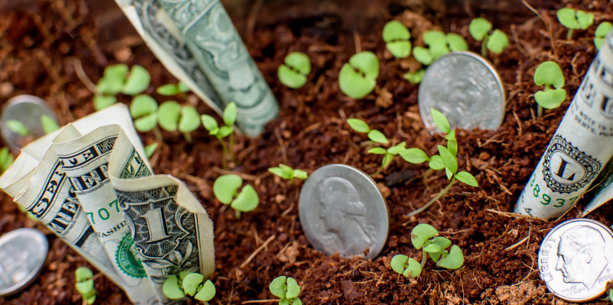 Wealth Multiplier | Your Comprehensive Guide Thumbnail